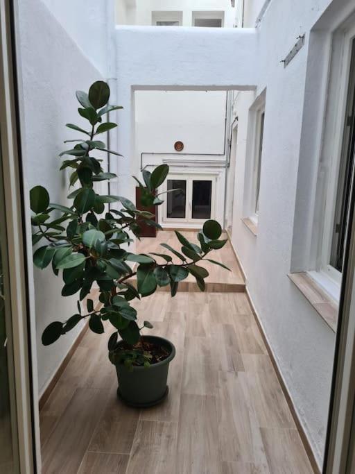 Apartamento Centrico Pontevedra Leilighet Eksteriør bilde